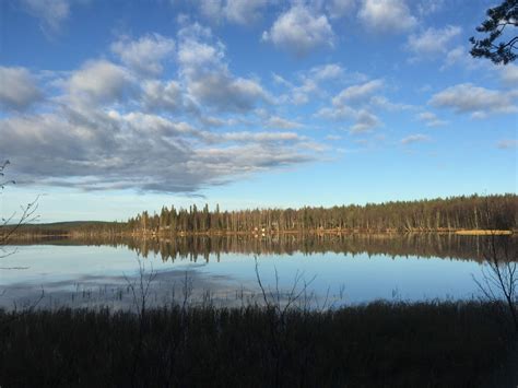 sallan yhteismetsä|Sallan yhteismetsän alueen metsästysluvat 